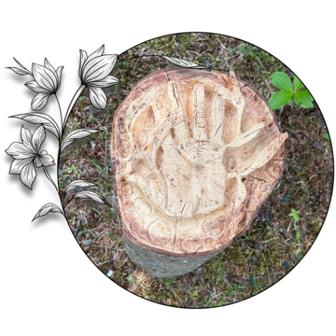Top of Stump carved into a hand and grass leaves
